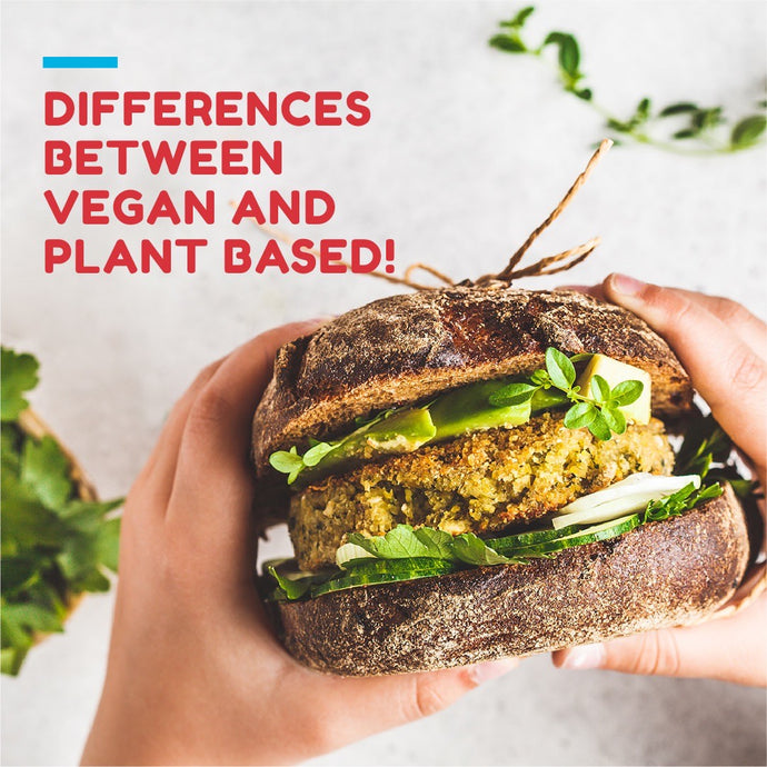 Differences between vegan and plant-based